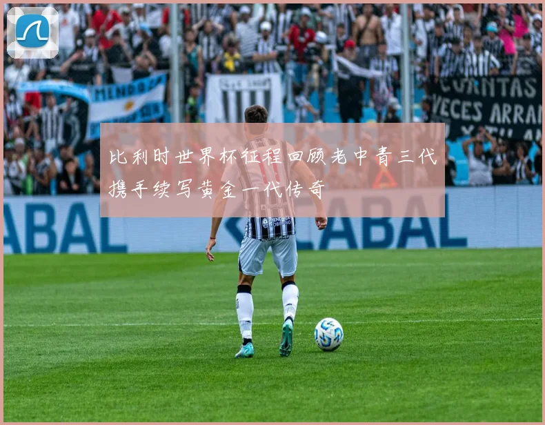 比利时世界杯征程回顾老中青三代携手续写黄金一代传奇